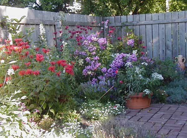 flower garden designs pictures on Explore Cornell   Home Gardening   Flower Garden Design Basics