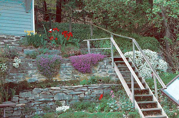 House On Steep Slope