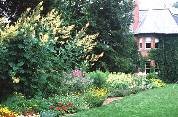 Explore Cornell Home Gardening Flower Garden Design Basics