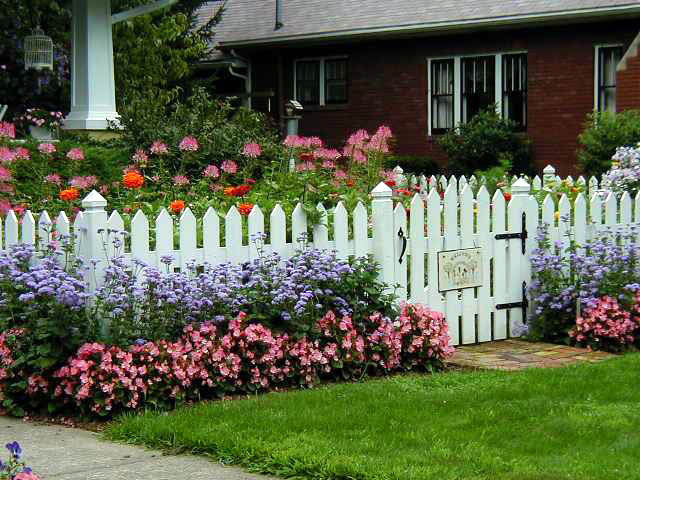 Explore Cornell - Home Gardening - Using Color in Flower Gardens