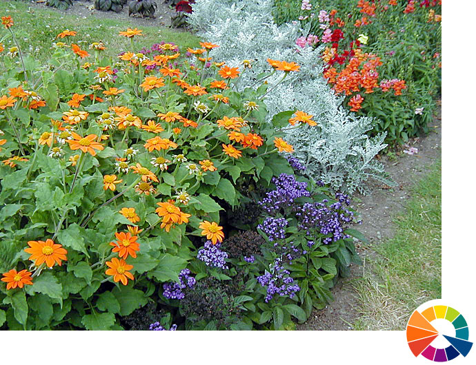 Using a Color Wheel to Select Flowers for Your Garden