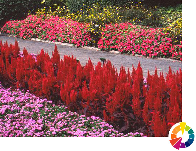 Using Color In Flower Gardens, Landscaping Color Schemes
