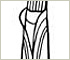 Fine Fescue