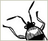 Chinch Bugs