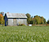 A Healthy Lawn