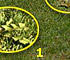 Problems with Mowing Low