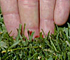 Measuring by Hand